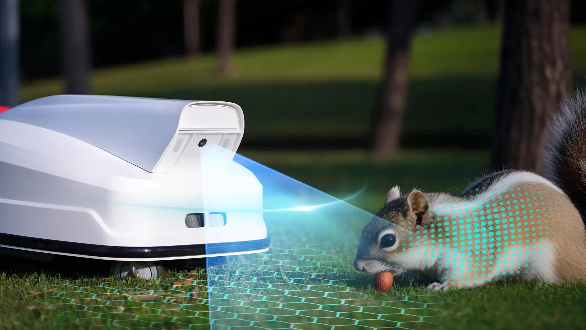 Safety Features Robot Lawn Mower